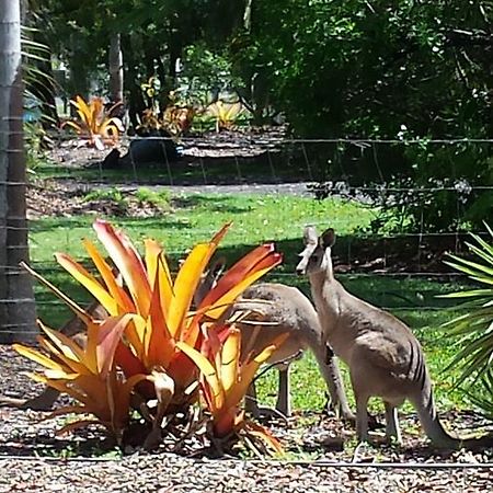 Bluegrass Bnb Bed and Breakfast Bundaberg Exterior foto